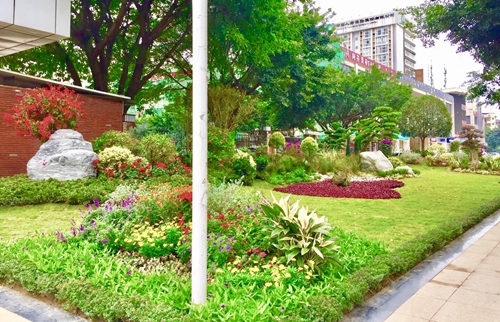 園冶杯專業(yè)獎(jiǎng):資陽(yáng)市嬌子大道綜合整治建設(shè)工程-節(jié)點(diǎn)景觀提升