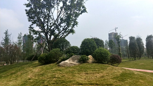 園冶杯專業獎:資陽高新區中韓創新創業園資陽基地華西牙科產業園景觀工程