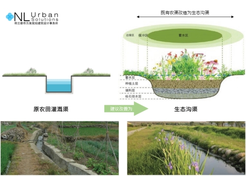 園冶杯專業獎:安順市邢江河上游水環境治理