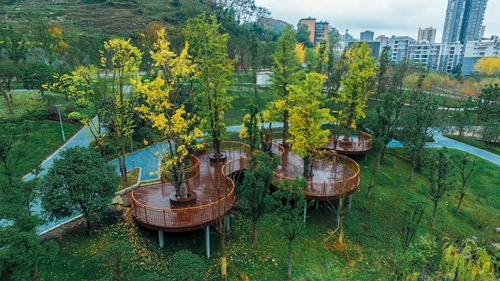 園冶杯專業獎:忠莊河、劍江路景觀提升改造及環境綜合整治工程