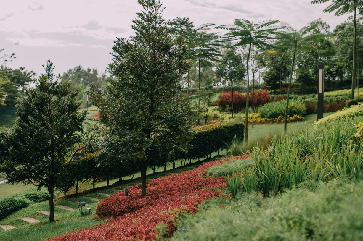 園冶杯專業獎:M公園畫廊