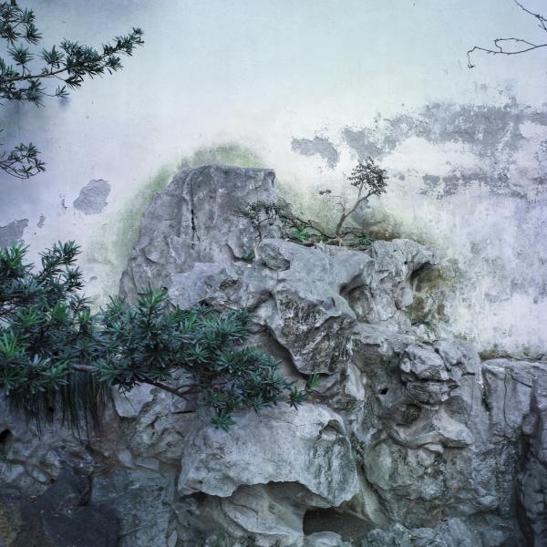 同濟(jì)大學(xué)紀(jì)念古建園林專家陳從周誕辰百年