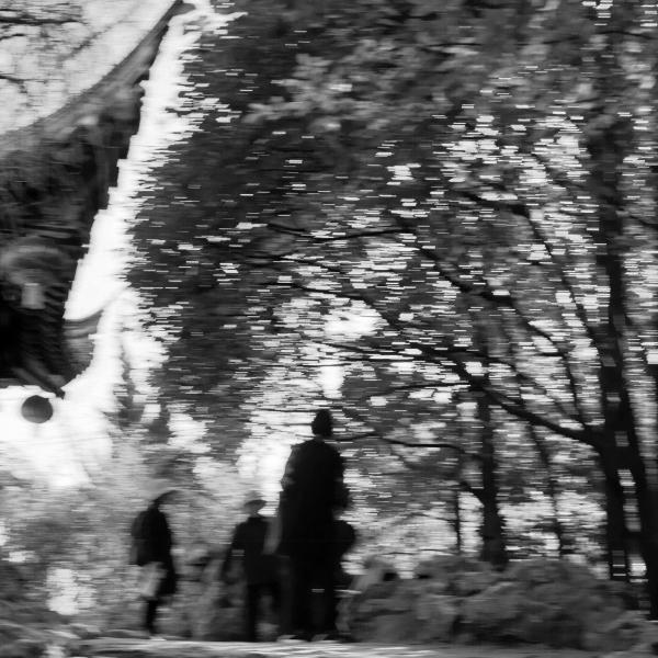 同濟(jì)大學(xué)紀(jì)念古建園林專家陳從周誕辰百年