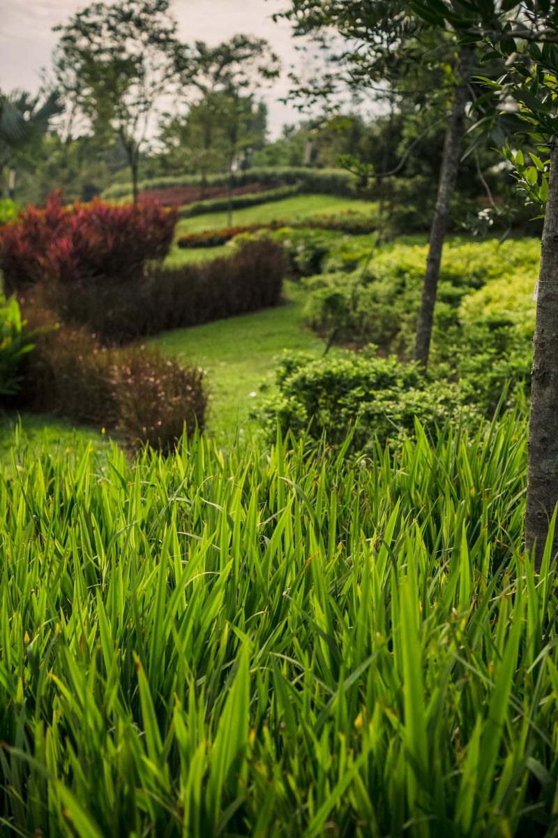 園冶杯專業獎：M公園畫廊
