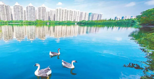 引領(lǐng)城市未來(lái)，中國(guó)“公園城市”建設(shè)前路美好