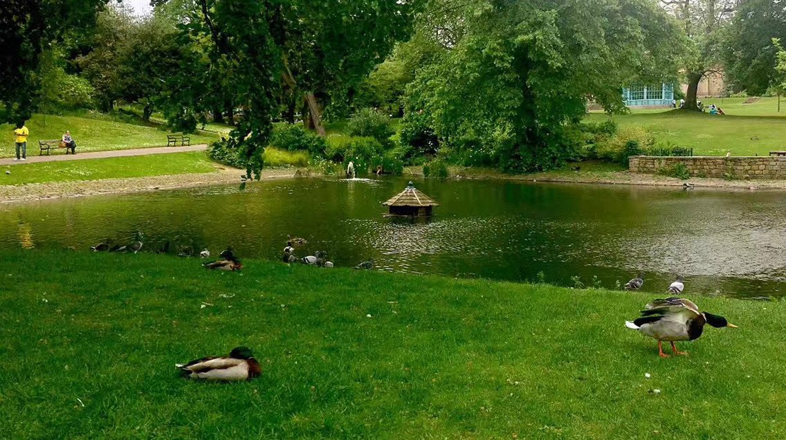 引領(lǐng)城市未來(lái)，中國(guó)公園城市建設(shè)前路美好