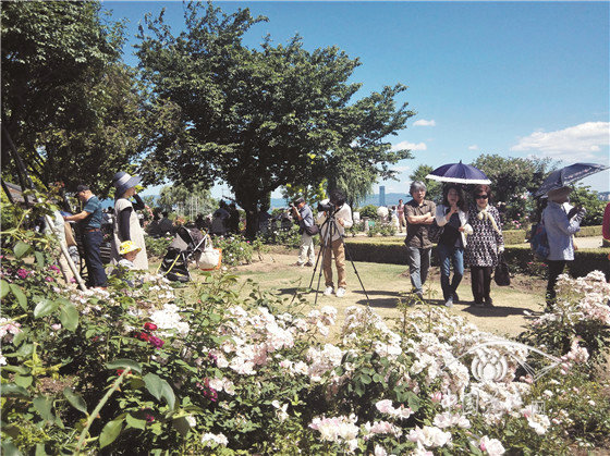 把大地風景融入城市園林