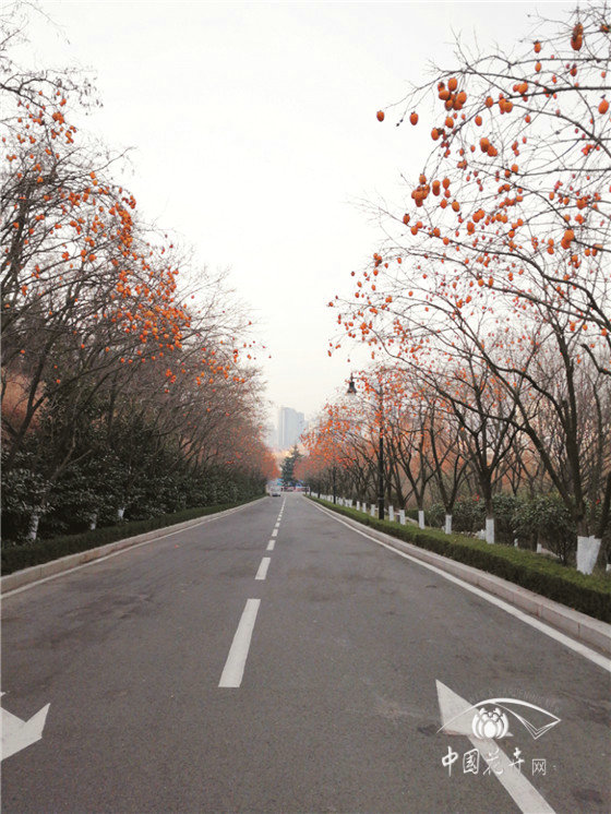 把大地風景融入城市園林