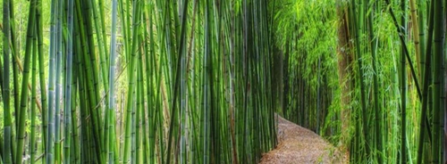 AECOM:廣西陽朔悅榕莊酒店景觀設(shè)計