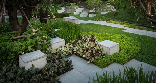 園冶杯專業獎:THE LINE PHAHON PRADIPAT