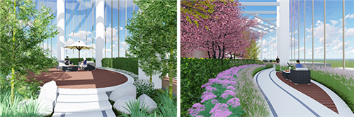 園冶杯專業獎:中航資本大廈超高層屋頂花園