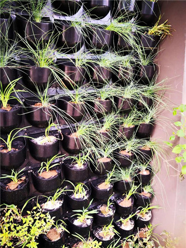 園冶杯專業獎:中航資本大廈超高層屋頂花園