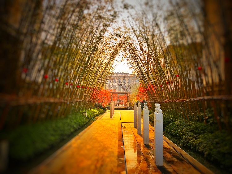 園冶杯專業(yè)獎:建業(yè)海馬九如府