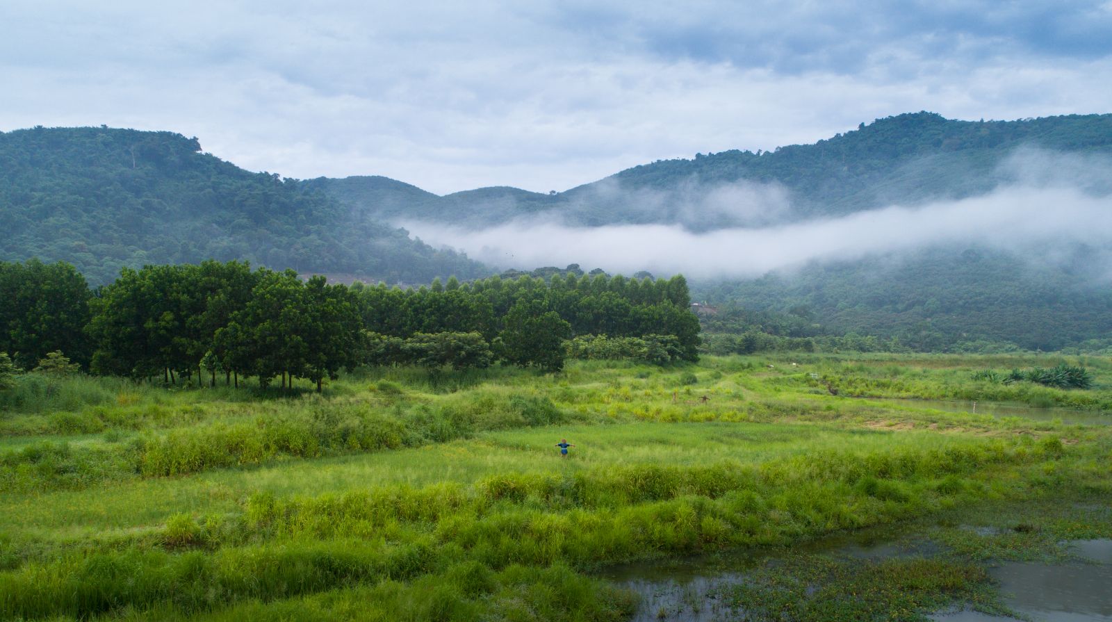 園冶杯專業獎:泰國Wangchan森林