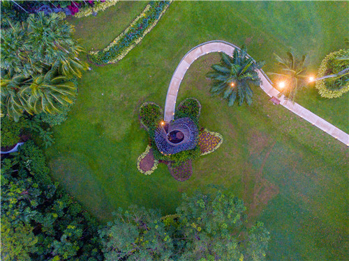 園冶杯專業獎:the Orchid