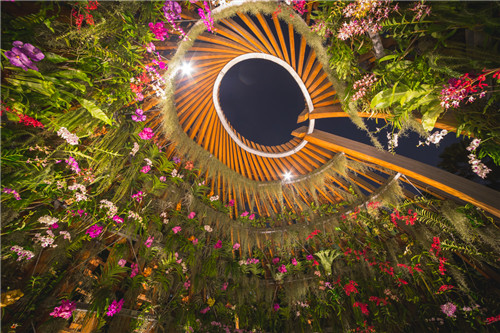 園冶杯專業獎:the Orchid