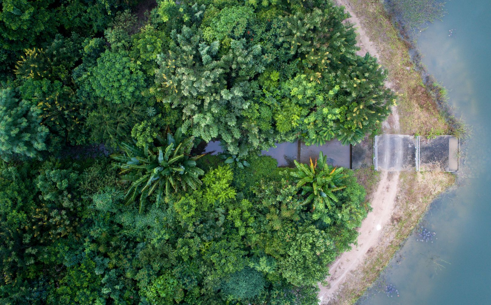 園冶杯專業獎:泰國Wangchan森林