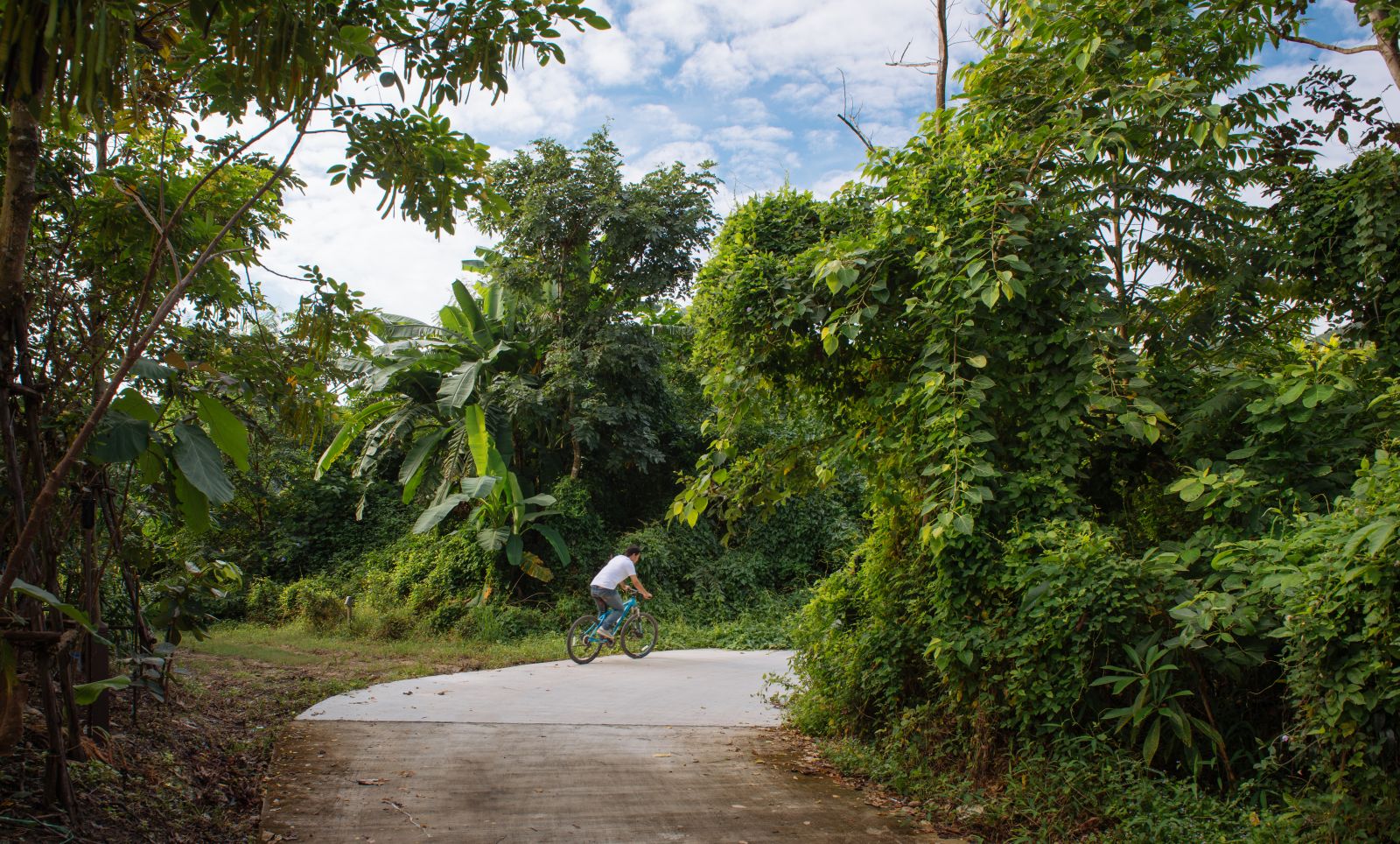 園冶杯專業獎:泰國Wangchan森林