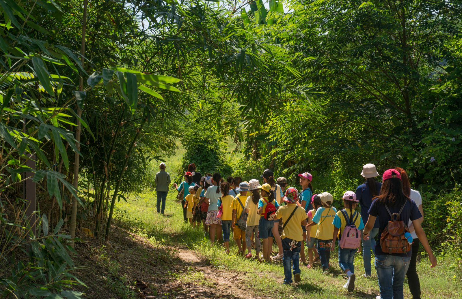 園冶杯專業獎:泰國Wangchan森林