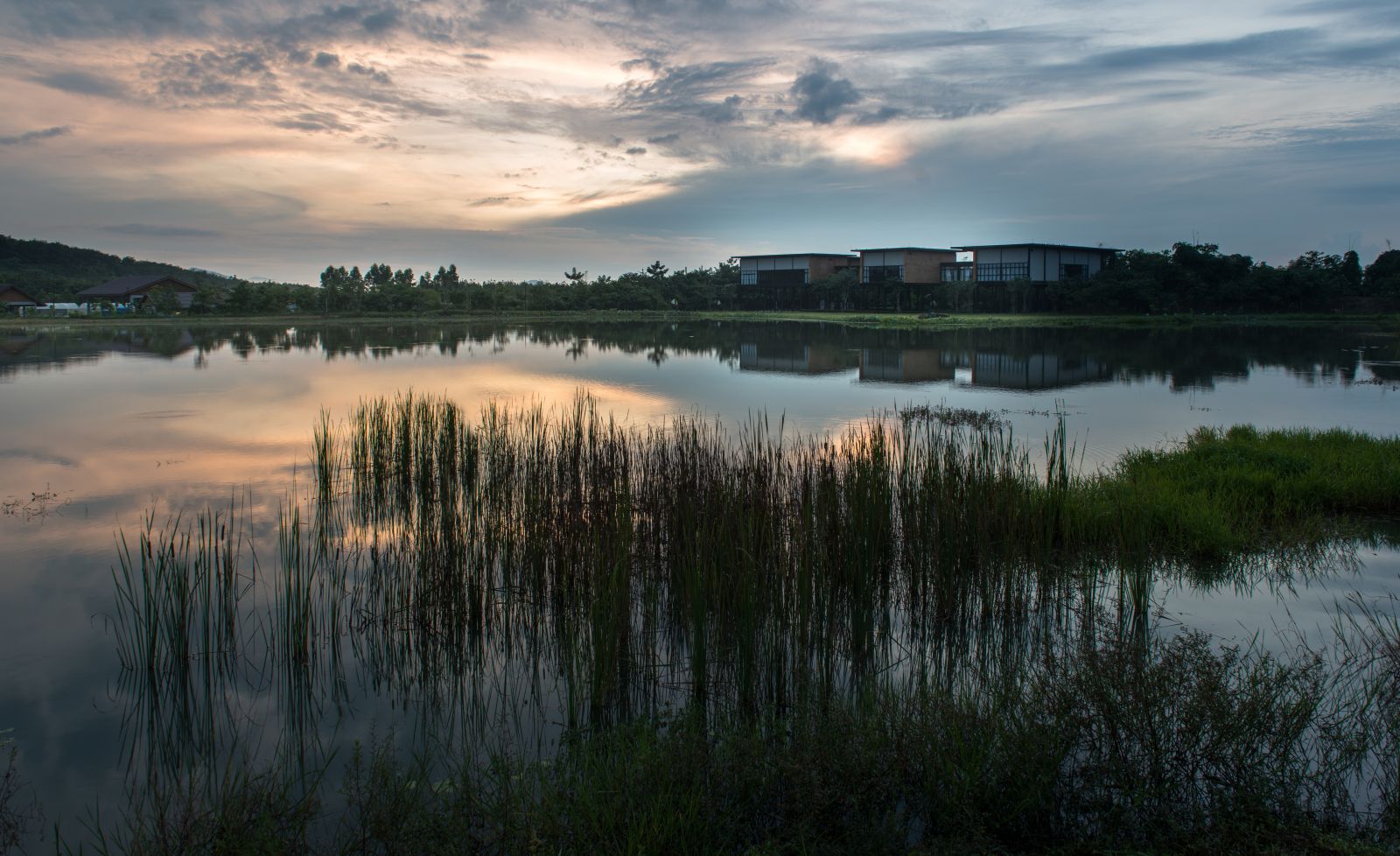 園冶杯專業獎:泰國Wangchan森林