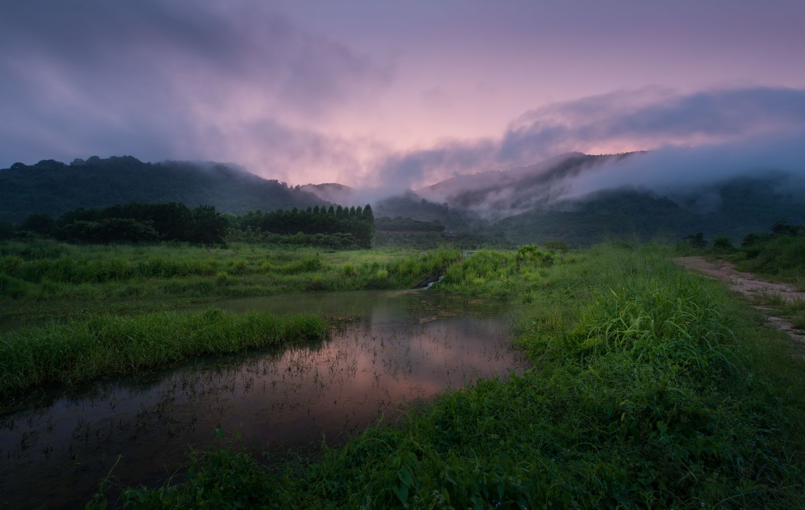 園冶杯專業獎:泰國Wangchan森林