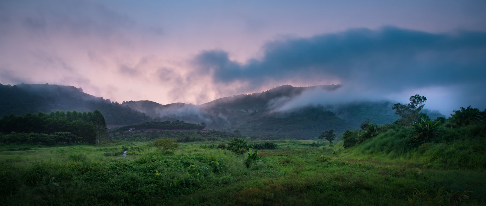 園冶杯專業獎:泰國Wangchan森林