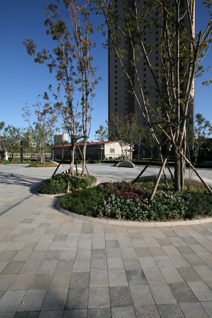 章俊華作品：規整中的非規整——常楹公元商務中心景觀設計