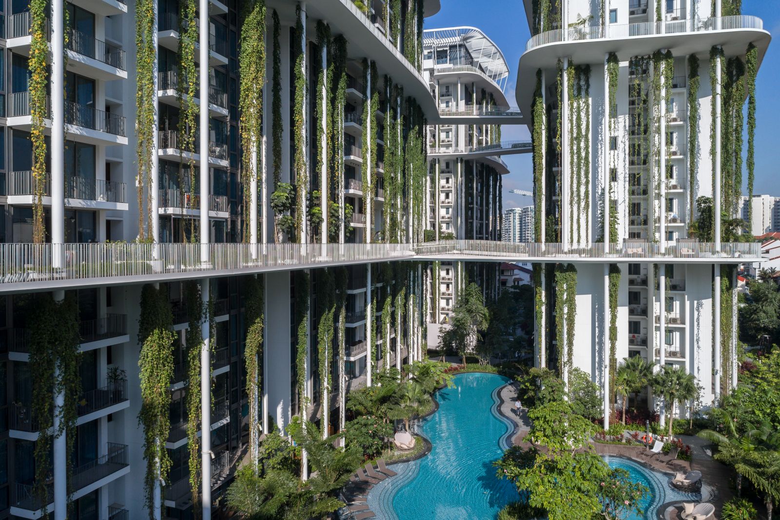 園冶杯專業(yè)獎(jiǎng):The Tembusu