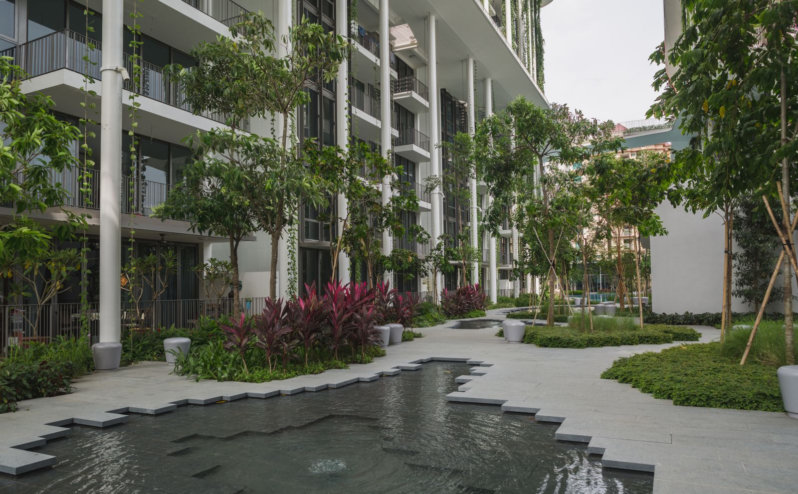 園冶杯專業(yè)獎(jiǎng):The Tembusu