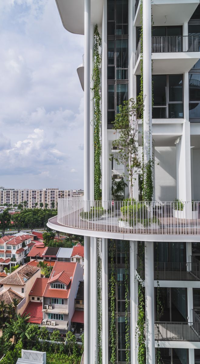 園冶杯專業(yè)獎(jiǎng):The Tembusu