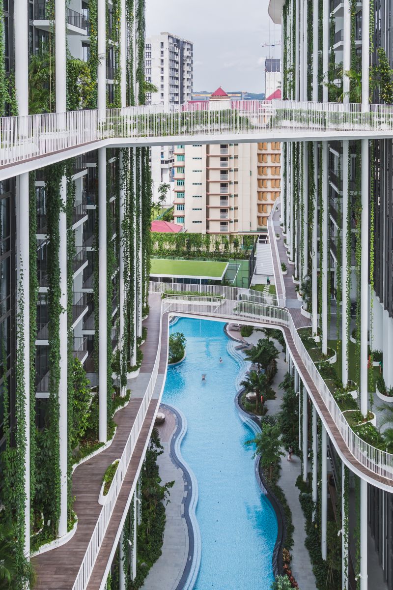 園冶杯專業(yè)獎(jiǎng):The Tembusu