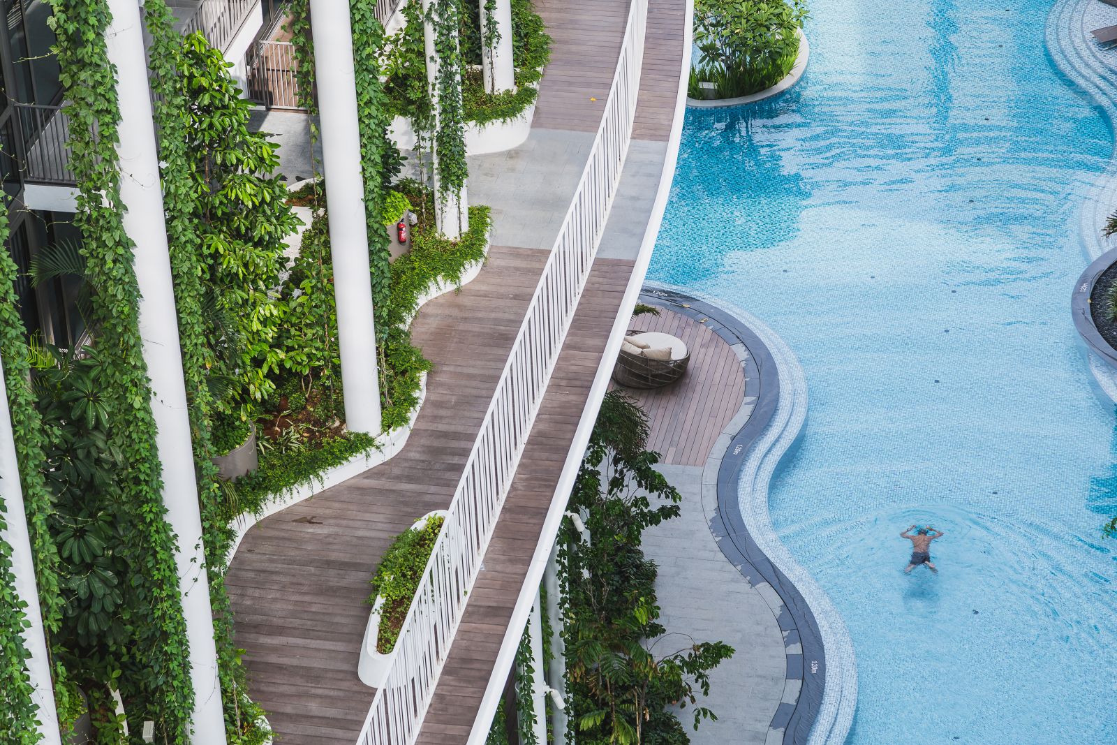 園冶杯專業(yè)獎(jiǎng):The Tembusu