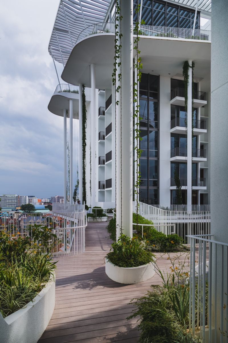 園冶杯專業(yè)獎(jiǎng):The Tembusu