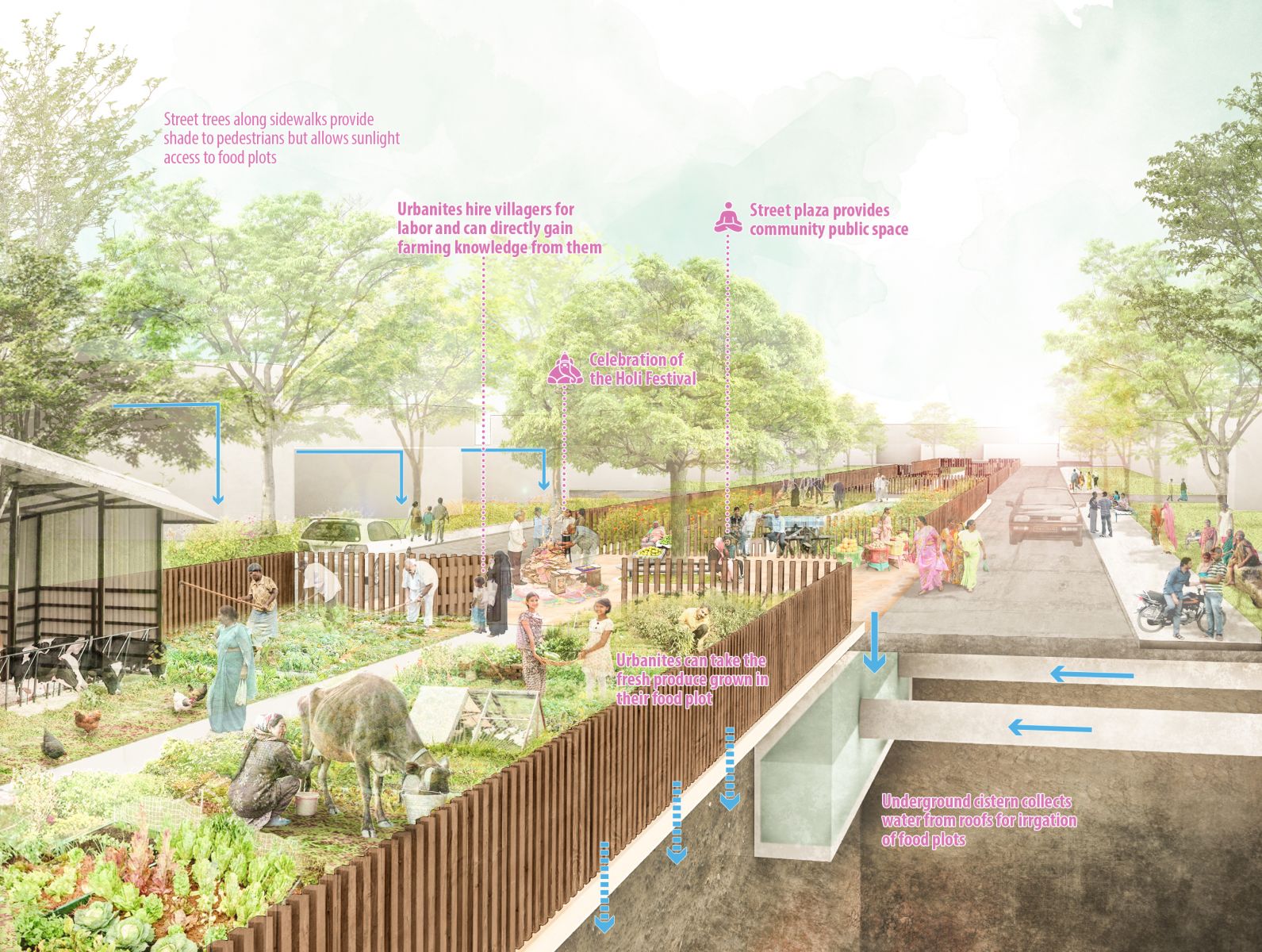 園冶杯專業獎:Sector34 Masterplan