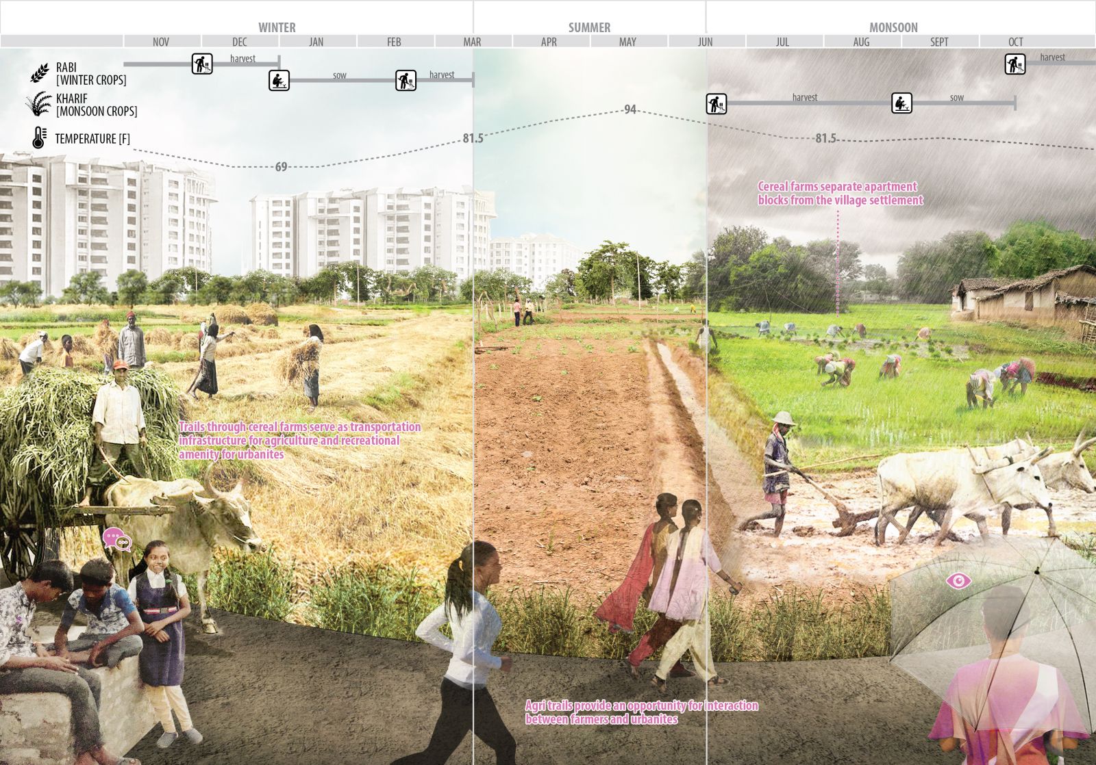 園冶杯專業獎:Sector34 Masterplan