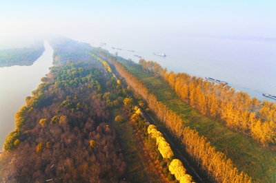 南京全力推動長江經濟帶高質量發展