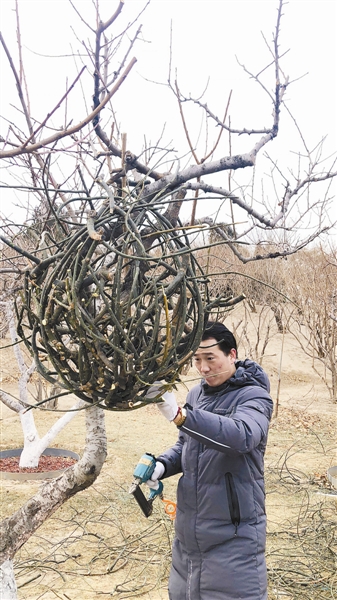 用枯枝落葉構(gòu)建大地勝景