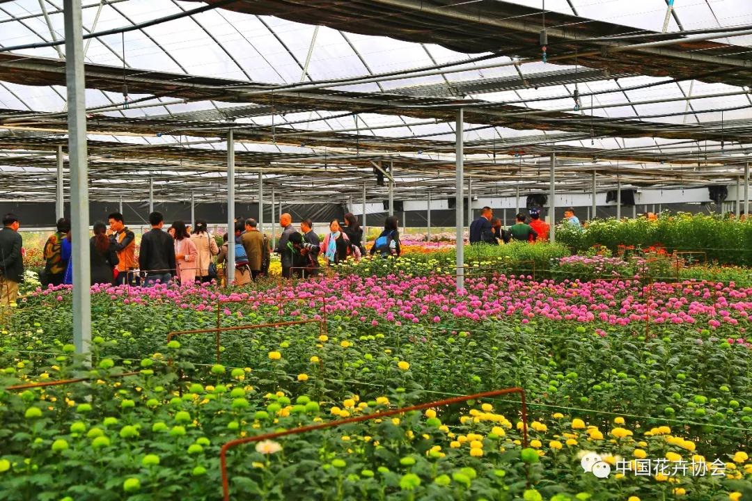 花卉界兩項成果獲2018年度國家科學技術獎