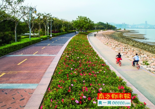 深圳這樣改造提升6大市屬公園顏值