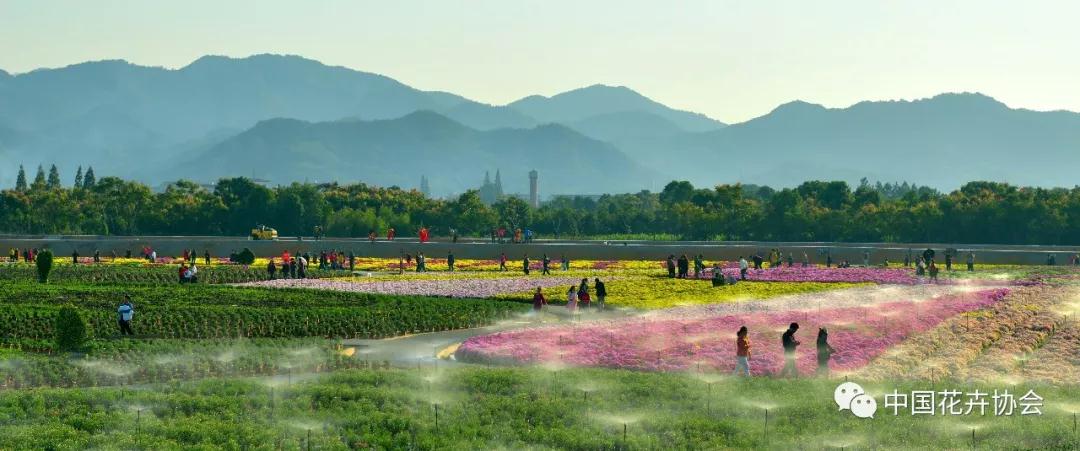 花卉界兩項成果獲2018年度國家科學技術獎