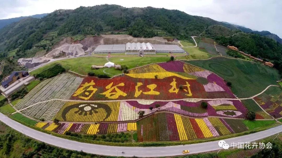 花卉界兩項成果獲2018年度國家科學技術獎