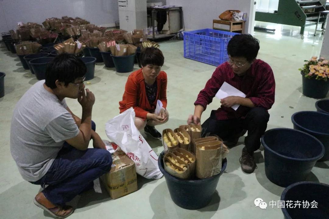 花卉界兩項成果獲2018年度國家科學技術獎