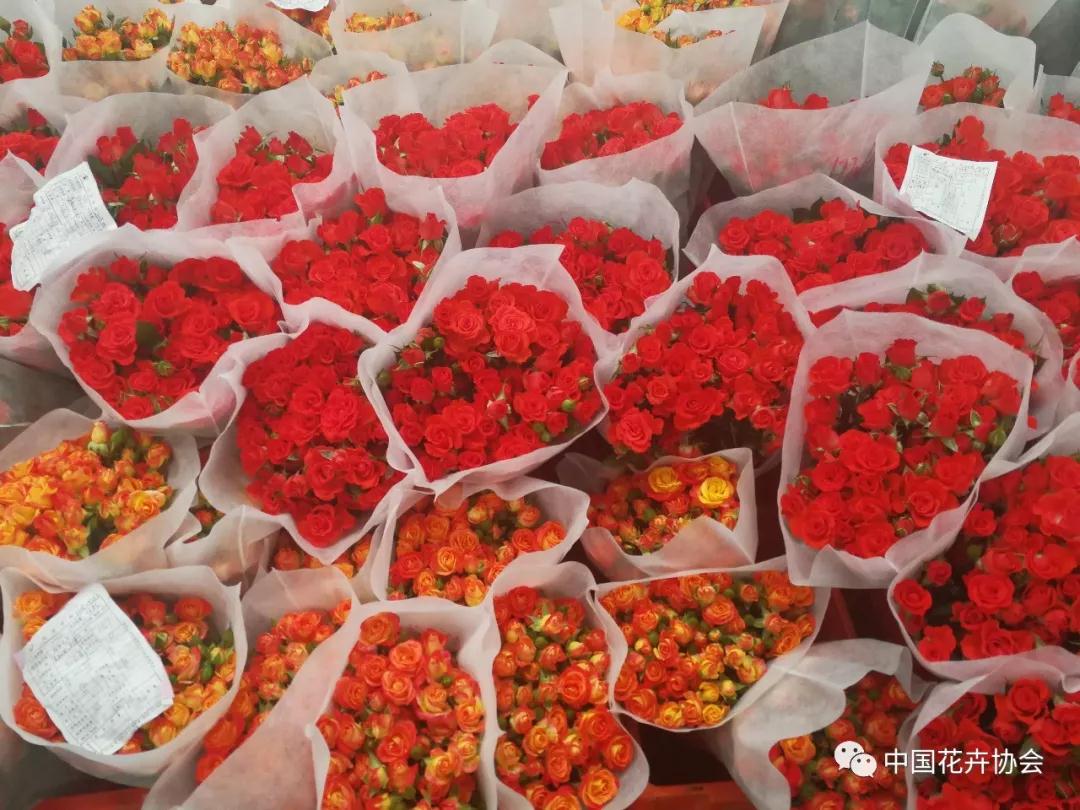 花卉界兩項成果獲2018年度國家科學技術獎