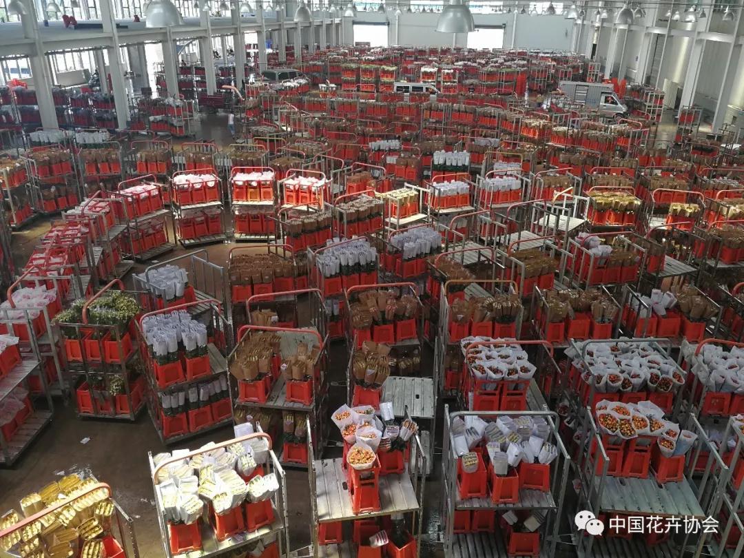 花卉界兩項成果獲2018年度國家科學技術獎