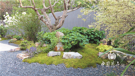 “境味”分明的禪意美園