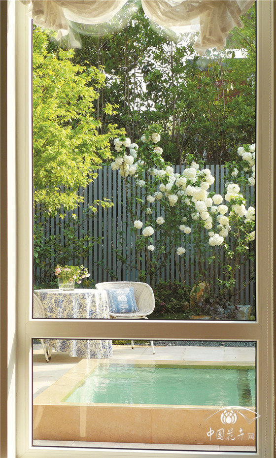 “境味”分明的禪意美園