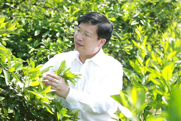 2018年中國大景觀界十大新聞人物