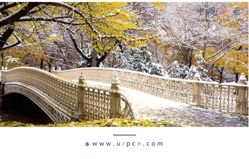 金廣君:城市設計如何在中國生根