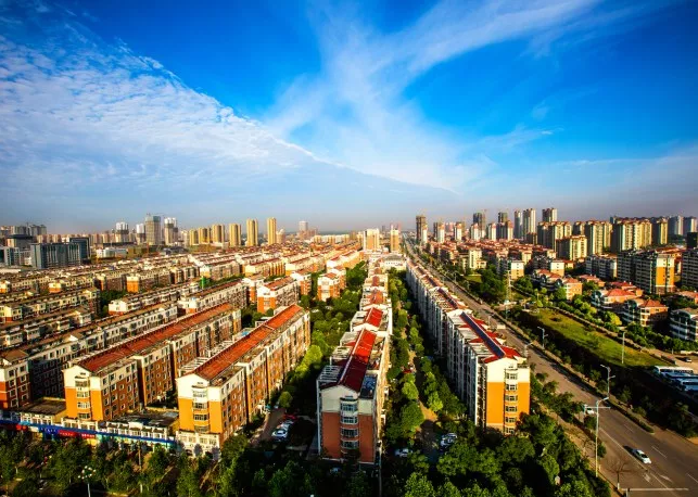 楊保軍：用文化激活城市發(fā)展