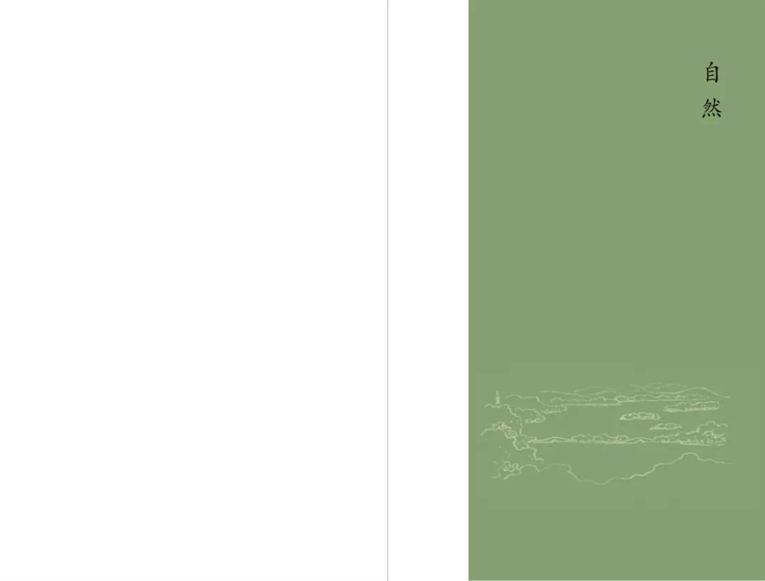 王向榮《景觀筆記:自然·文化·設計》